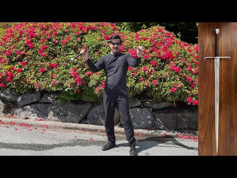 Balaur Arms 1st Gen (HONSHU HISTORIC) 15th Century Italian Longsword Review