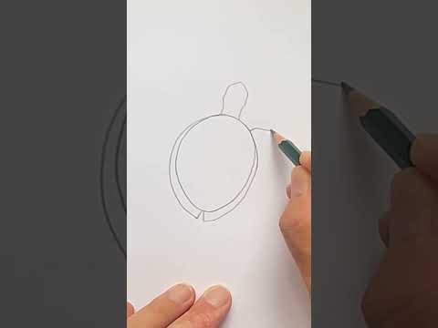 Deseneaza o broasca testoasa - caretta caretta #desenezsicolorez #deseneazausor