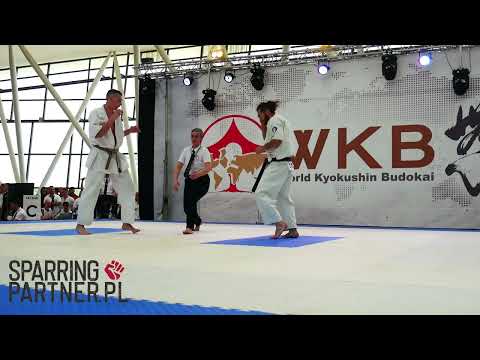 Gergo Molnar vs Juri Villani  Man -80kg The 6th WKB European Kyokushin Championships