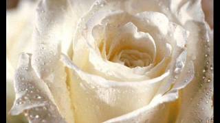 Non ti dimentichero&#39;