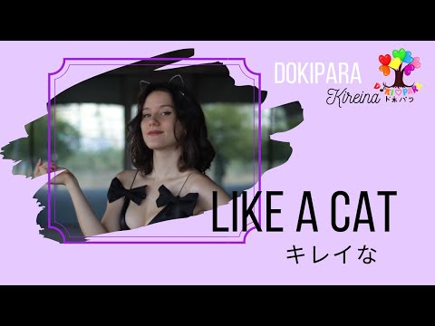 🌳Doki♥Para🌈 (ド木♥パラ) / Like a cat【VOCAL cover】- Music video
