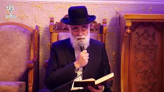 קינות ומגילת איכה בנוסח יהדות מרוקו (חלק 2) | תשעה באב 2025 | הרב משה פינטו (ארגון ענפים) - התמונה מוצגת ישירות מתוך אתר האינטרנט יוטיוב. זכויות היוצרים בתמונה שייכות ליוצרה. קישור קרדיט למקור התוכן נמצא בתוך דף הסרטון קינות ומגילת איכה בנוסח יהדות מרוקו (חלק 2) | תשעה באב 2025 | הרב משה פינטו (ארגון ענפים) - התמונה מוצגת ישירות מתוך אתר האינטרנט יוטיוב. זכויות היוצרים בתמונה שייכות ליוצרה. קישור קרדיט למקור התוכן נמצא בתוך דף הסרטון