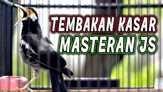 Download lagu 🔴 MATERAN TEMBAKAN KASAR JALAK SUREN 🔥 mp3 Download lagu 🔴 MATERAN TEMBAKAN KASAR JALAK SUREN 🔥 mp3