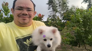 Domingo dia para curtir a natureza 