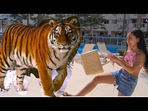 REGRAS DE CONDUTA PARA CRIANÇA NA PISCINA COM ANIMAIS