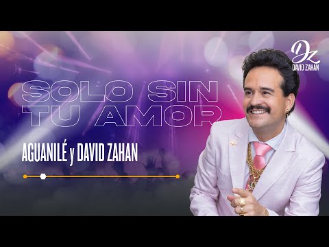 Solo Sin Tu Amor - Aguanilé y David Zahan [Audio]