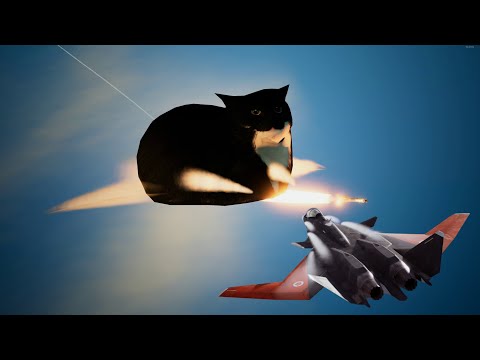 Ace Combat 7: Skies Unknown - Maxwell the Cat vs Mister X