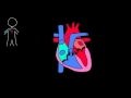 11. Sınıf  Biyoloji Dersi  Dolaşım Sistemi Kalbimiz, vücudumuzdaki en harika organlardan biri... Her gün en yeni eğitim videolarını ilk izleyen olmak için kanalımıza abone ... konu anlatım videosunu izle