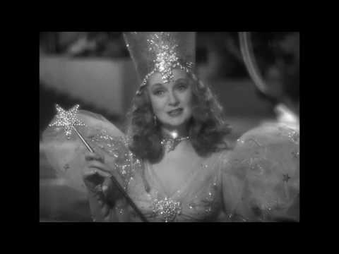 Beauty and the Grizzly Bear Sneak Peek