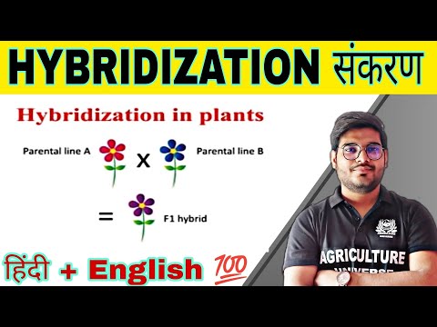 defination allopolyploid allopolyploid kya hai allopolyploid in hindi what is allopolyploid