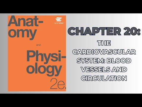 OpenStax Anatomy and Physiology 2e (Audiobook) - Chapter 20: Blood Vessels and Circulation