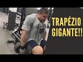 COMO TER UM TRAPÉZIO GIGANTE - TREINO PESADO DE TRAPÉZIO