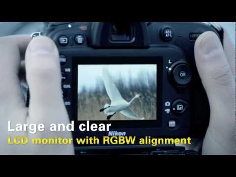NIKON D7100 Preview
