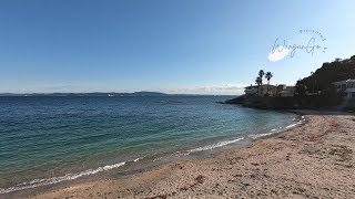 三浦海岸