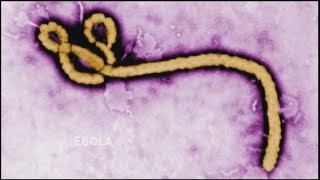 preview picture of video 'EBOLA Documentary!'