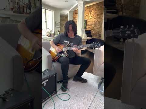 Every Gibson ES-335 Player in 9 seconds