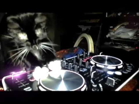EL GATO DJ