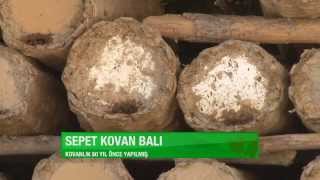 preview picture of video 'Beypazarı/Kapullu Köyü /  Doğal  Karakovan Arıcılığı'