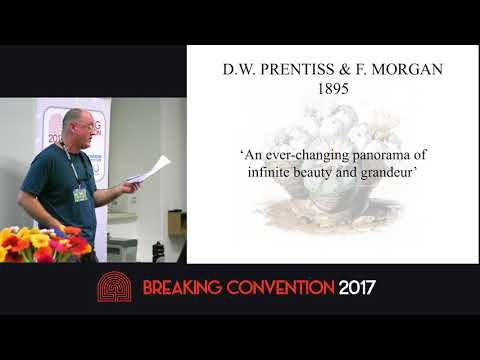 Mike Jay - From Peyote To Mescaline: The Birth Of Psychedelic Science