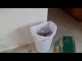 Me Throwing Away Sesame Street Learning About Letters 1986 VHS