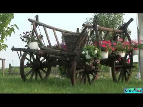 Pensiunea BALTA SARBILOR - Comuna Poiana Mare.