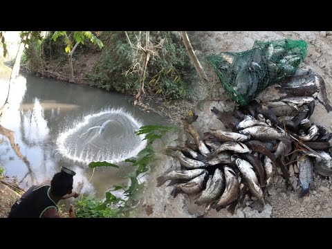 SE03EP042 - ISANG HAGIS PUNO! SAKLOB LAHAT ng DALA | Cast Net Fishing