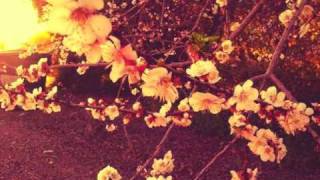 Pedro The Lion - Fade Into You