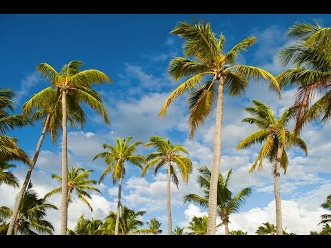 Ascent Apartments Community Video Tour | Living in West Hollywood, CA