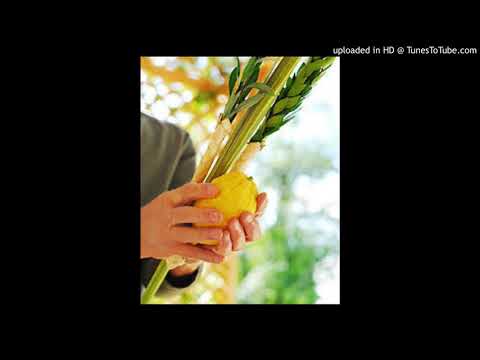 Awake Awake O Zion - Our God Reigns Live at Feast of Tabernacles Israel written by Nathan Fellingham