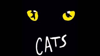 Cats: 7- Grizabella, The Glamour Cat