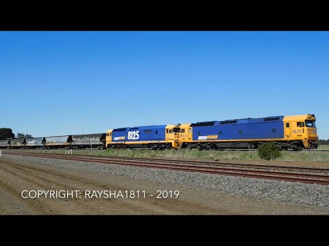 7739V - BL31-8125 (Grain) Gheringhap - Australian Trains by Raysha1811