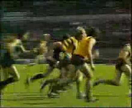 VFL Football R1 1987 - Hawthorn v Carlton