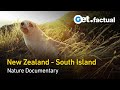 New Zealand Wild At Heart Full Nature Documentary