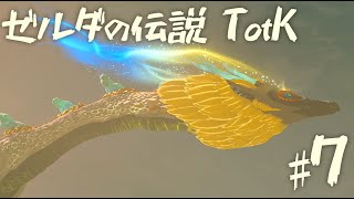 【ゼルダの伝説 ティアーズオブザキングダム】地上絵巡り・後編　【７】