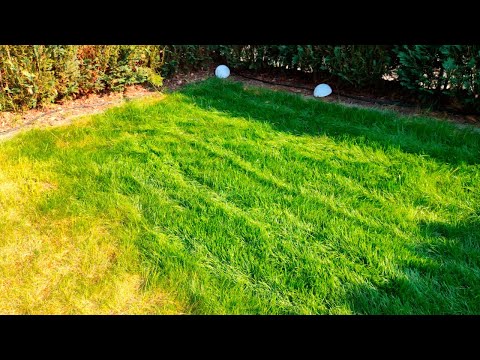 Rasen neu anlegen ohne Umgraben auf die bequeme Art