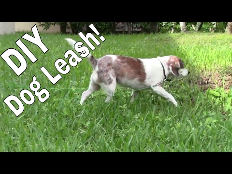 How to Make a Dog Leash out of cable 🐕