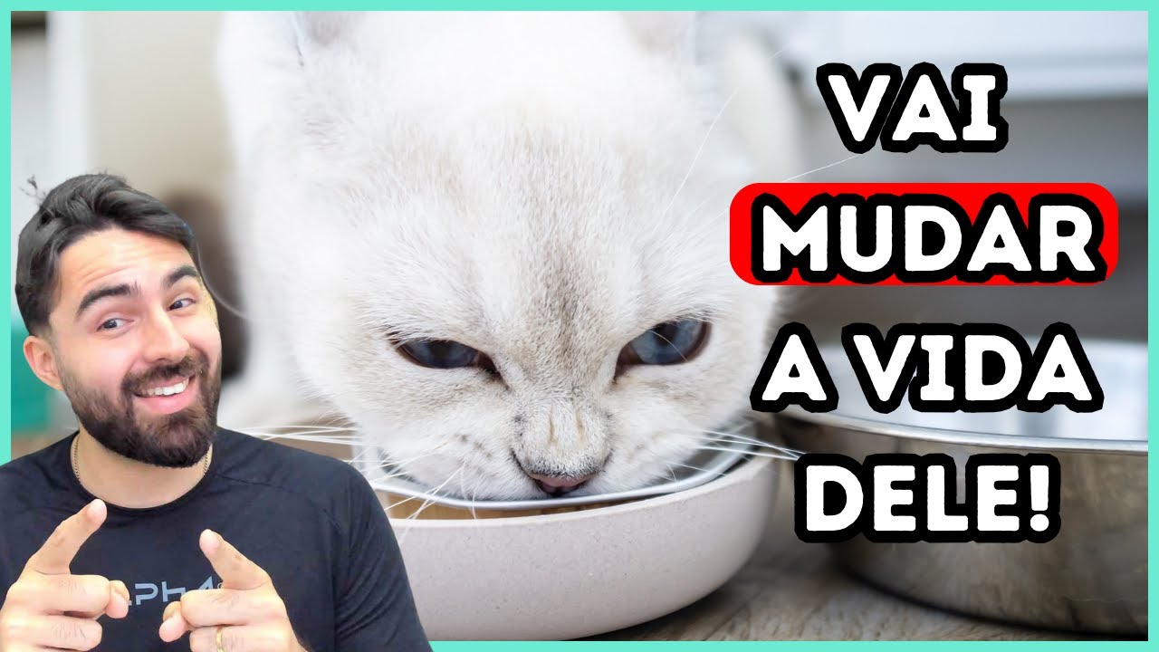 Se Seu Gato Gosta de Sachê, Você PRECISA Fazer ISSO!