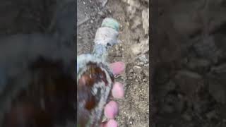 � ���� ������� ������� ������ ������� (²���)