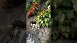 Download lagu Pariban Berastagi Kab. Karo - Sumut #shorts mp3