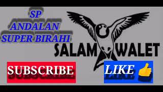 Download lagu TOP..!! Suara panggil Walet Terbaru Yang Lagi VIRAL.. ANDALAN BIRAHI mp3