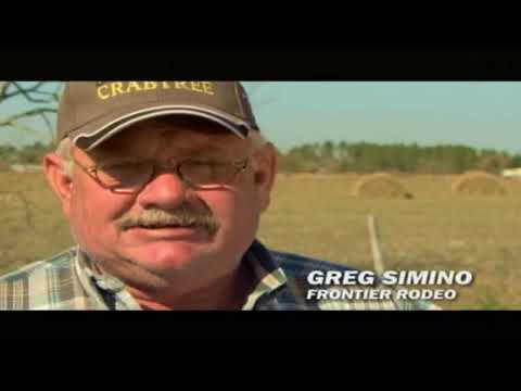 PBR 2006: Big Bucks profile