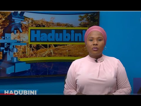 🔴#TBCLIVE: HADUBINI JANUARI 21,2023 SAA 2:00-3:00 USIKU
