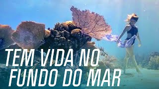 Miniatura do vídeo