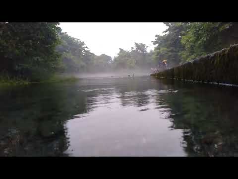 Dehradun - Haridwar Ganga Ghat | देहरादून - हरिद्वार गंगा घाट | দেরাদুন - হরিদ্বার গঙ্গা ঘাট |