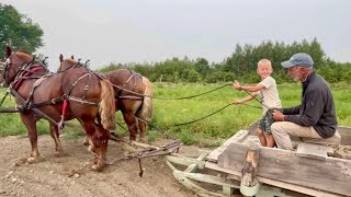 IS LADY BRED AGAIN?? & Big Helpers at the Farm!! #836