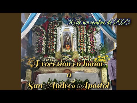 Procesión en honor a San Andrés Apóstol ( feria patronal San Andrés Tepetlapa Oaxaca 2023)