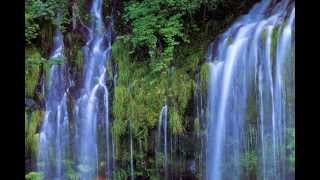 Best Of Anne Murray Songs With Lyrics