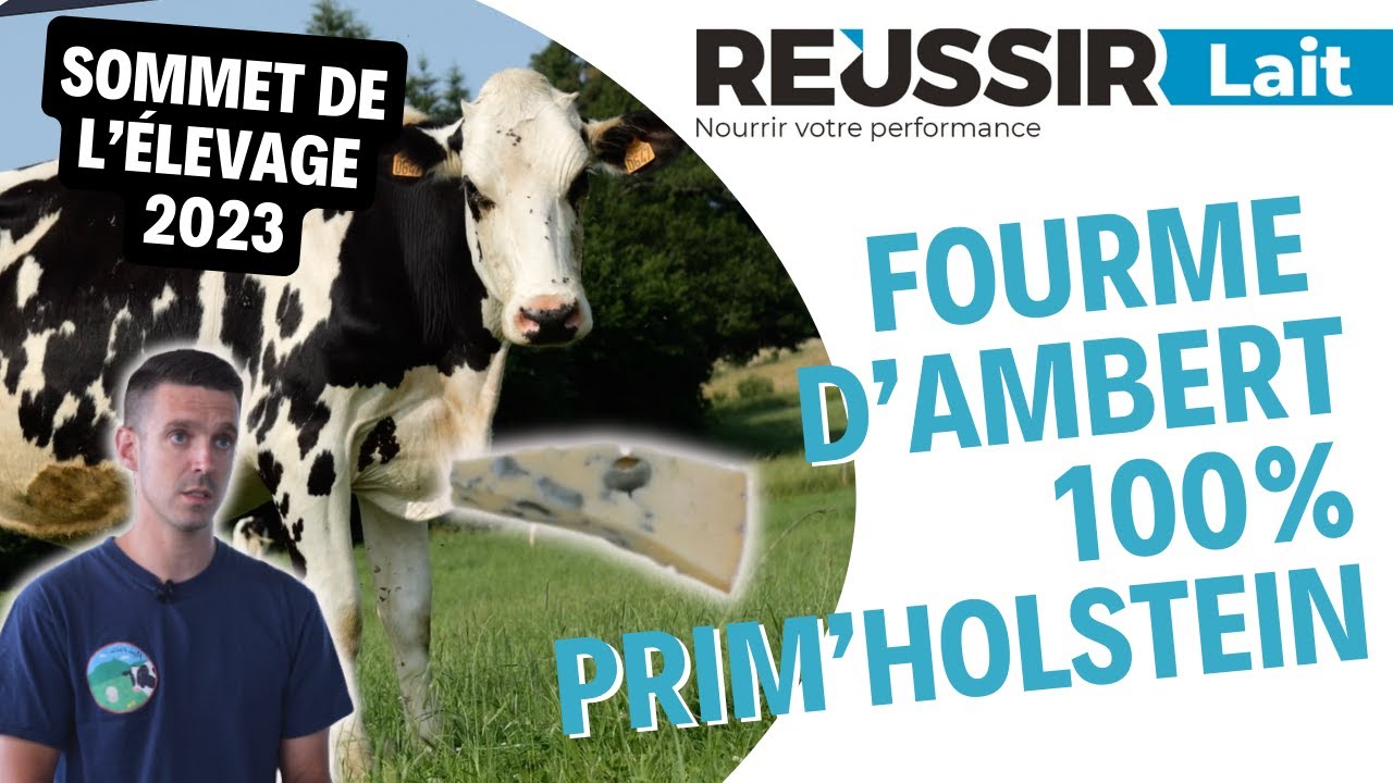 Sommet de l'élevage : chez Fabrice et Maxime Faure, éleveurs de Prim'Holstein