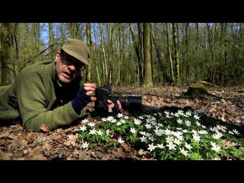 Vlog van fotograaf Johan van der Wielen over scherptediepte verlegging