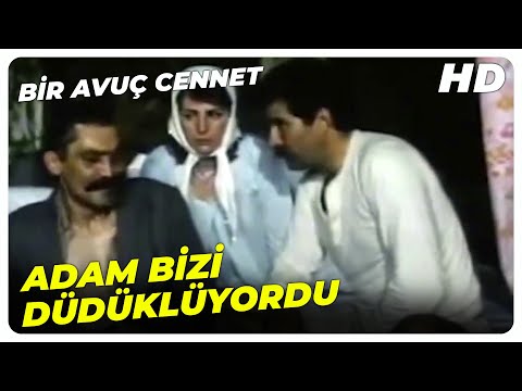Bir Avuç Cennet - Kamil, Hırsızı Önce Bayılttı Sonra Ayılttı | Tarık Akan Hale Soygazi Türk Filmi